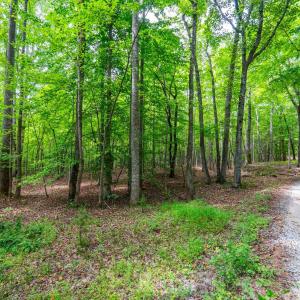 Photo #1 of Atwell Lane, Keysville, VA 39.8 acres