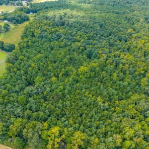 Photo #9 of Atwell Lane, Keysville, VA 39.8 acres