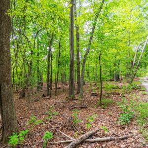 Photo #17 of Atwell Lane, Keysville, VA 39.8 acres