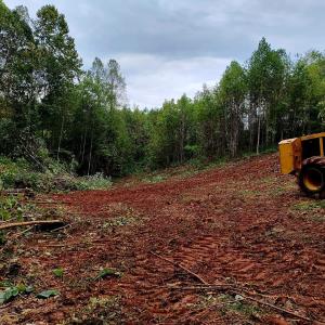 Photo #6 of Forest Road, Lynchburg, VA 4.1 acres