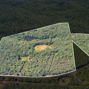 Photo #2 of 6049 Elon Road, Monroe, VA 105.0 acres