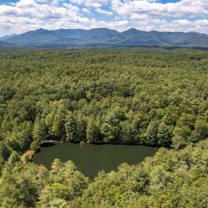 Photo #8 of 6049 Elon Road, Monroe, VA 105.0 acres