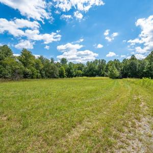 Photo #13 of 6049 Elon Road, Monroe, VA 105.0 acres