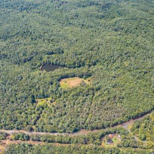 Photo #10 of 6049 Elon Road, Monroe, VA 105.0 acres