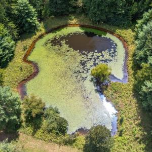 Photo #17 of 6049 Elon Road, Monroe, VA 105.0 acres