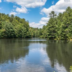 Photo #3 of 6049 Elon Road, Monroe, VA 105.0 acres