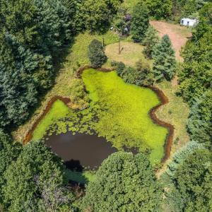 Photo #16 of 6049 Elon Road, Monroe, VA 105.0 acres