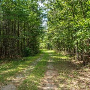 Photo #12 of 6049 Elon Road, Monroe, VA 105.0 acres