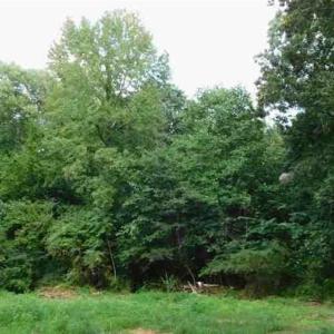 Photo #3 of 14811 Kings Highway, Drakes Branch, VA 24.2 acres