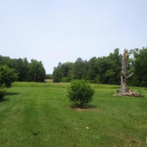 Photo #5 of 1144 Mt. Mitchell, Drakes Branch, VA 7.0 acres