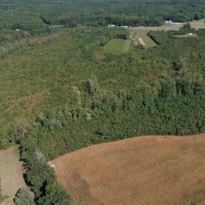 Photo #9 of Coles Ferry Road, Nathalie, VA 63.0 acres