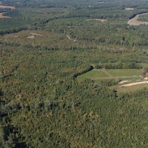 Photo #1 of Coles Ferry Road, Nathalie, VA 63.0 acres