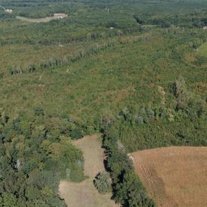 Photo #8 of Coles Ferry Road, Nathalie, VA 63.0 acres