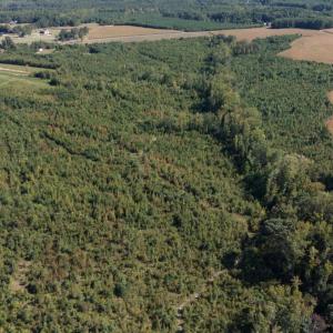 Photo #6 of Coles Ferry Road, Nathalie, VA 63.0 acres