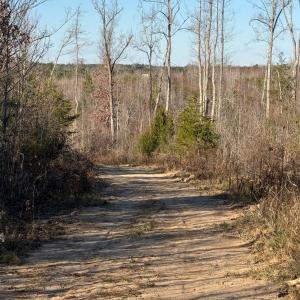 Photo #12 of Coles Ferry Road, Nathalie, VA 63.0 acres