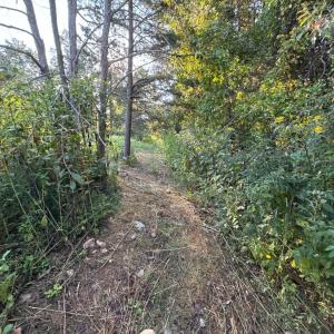 Photo #1 of Shiloh Church Road, Bedford, VA 8.0 acres