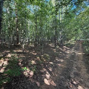 Photo #15 of Shiloh Church Road, Bedford, VA 8.0 acres