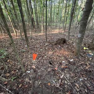 Photo #10 of Shiloh Church Road, Bedford, VA 8.0 acres