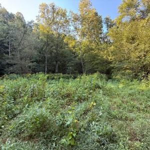 Photo #17 of Shiloh Church Road, Bedford, VA 8.0 acres