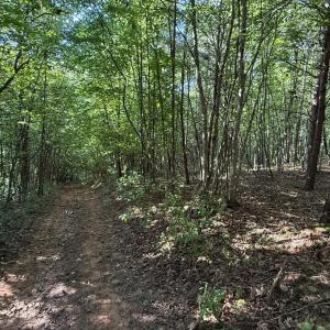 Photo #16 of Shiloh Church Road, Bedford, VA 8.0 acres