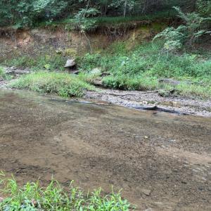 Photo #6 of Shiloh Church Road, Bedford, VA 8.0 acres