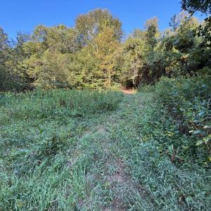 Photo #20 of Shiloh Church Road, Bedford, VA 8.0 acres