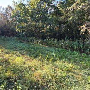 Photo #5 of Shiloh Church Road, Bedford, VA 8.0 acres