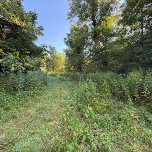 Photo #18 of Shiloh Church Road, Bedford, VA 8.0 acres