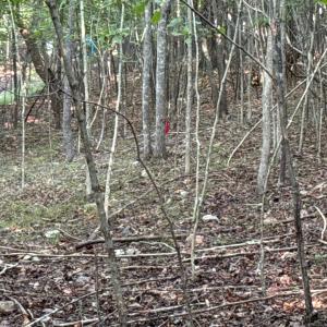 Photo #12 of Shiloh Church Road, Bedford, VA 8.0 acres