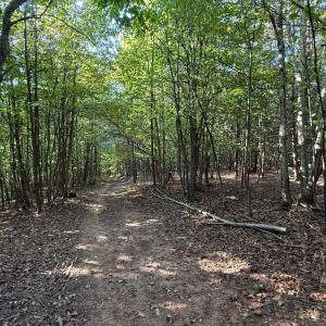 Photo #13 of Shiloh Church Road, Bedford, VA 8.0 acres