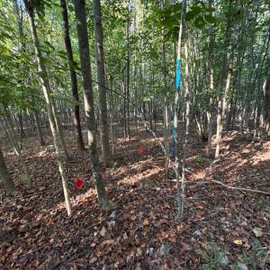 Photo #8 of Shiloh Church Road, Bedford, VA 8.0 acres