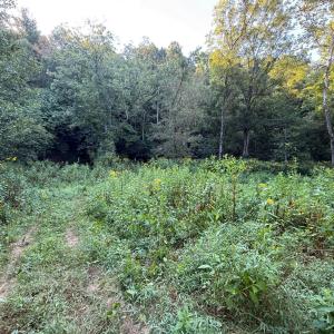 Photo #19 of Shiloh Church Road, Bedford, VA 8.0 acres