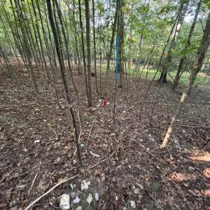 Photo #11 of Shiloh Church Road, Bedford, VA 8.0 acres