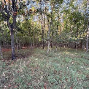 Photo #7 of Shiloh Church Road, Bedford, VA 8.0 acres