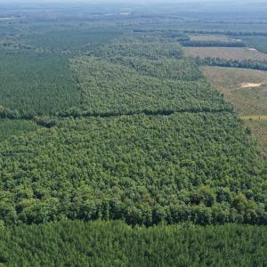 Photo #28 of James Anderson Highway, Gladstone, VA 100.0 acres