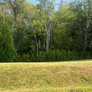 Photo #1 of Sec 3 West Crossing Drive, Forest, VA 1.5 acres