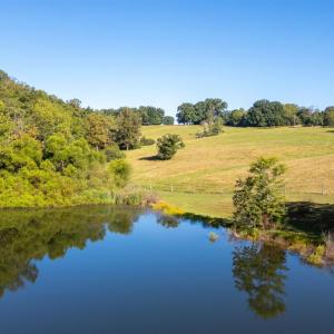 Photo #17 of Junction School Road, Bedford, VA 45.0 acres