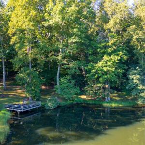 Photo #13 of Junction School Road, Bedford, VA 45.0 acres