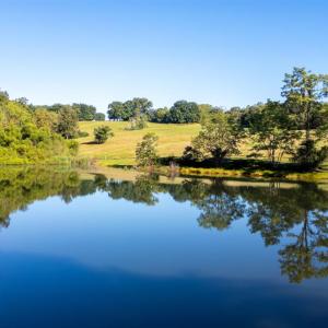 Photo #16 of Junction School Road, Bedford, VA 45.0 acres