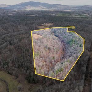 Photo #7 of Waughs Ferry Xing, Monroe, VA 77.3 acres