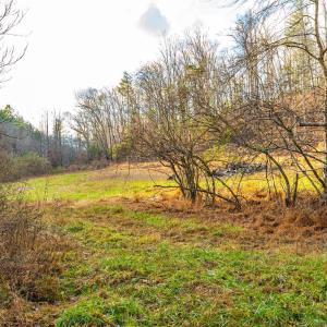 Photo #11 of Waughs Ferry Xing, Monroe, VA 77.3 acres