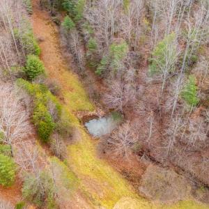 Photo #57 of Waughs Ferry Xing, Monroe, VA 77.3 acres