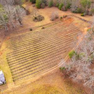 Photo #44 of Waughs Ferry Xing, Monroe, VA 77.3 acres