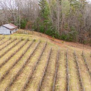 Photo #2 of Waughs Ferry Xing, Monroe, VA 77.3 acres