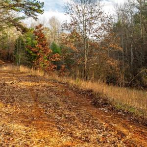 Photo #13 of Waughs Ferry Xing, Monroe, VA 77.3 acres