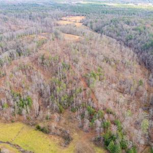 Photo #53 of Waughs Ferry Xing, Monroe, VA 77.3 acres