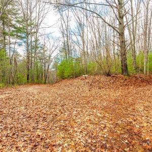 Photo #37 of Waughs Ferry Xing, Monroe, VA 77.3 acres