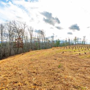 Photo #25 of Waughs Ferry Xing, Monroe, VA 77.3 acres