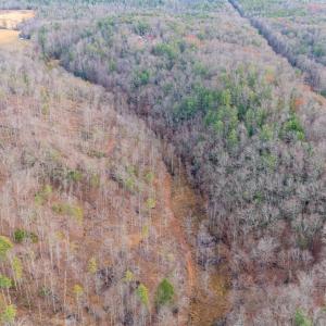 Photo #54 of Waughs Ferry Xing, Monroe, VA 77.3 acres