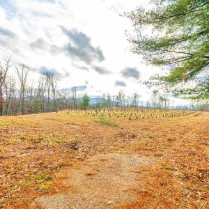 Photo #24 of Waughs Ferry Xing, Monroe, VA 77.3 acres